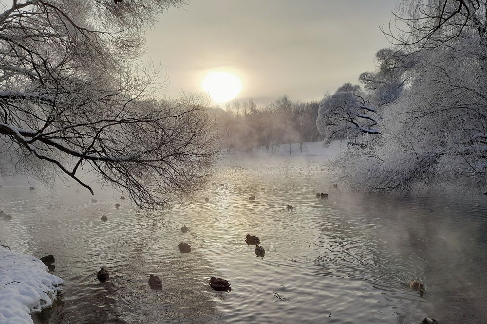 Фотография автора Тамара Караваева