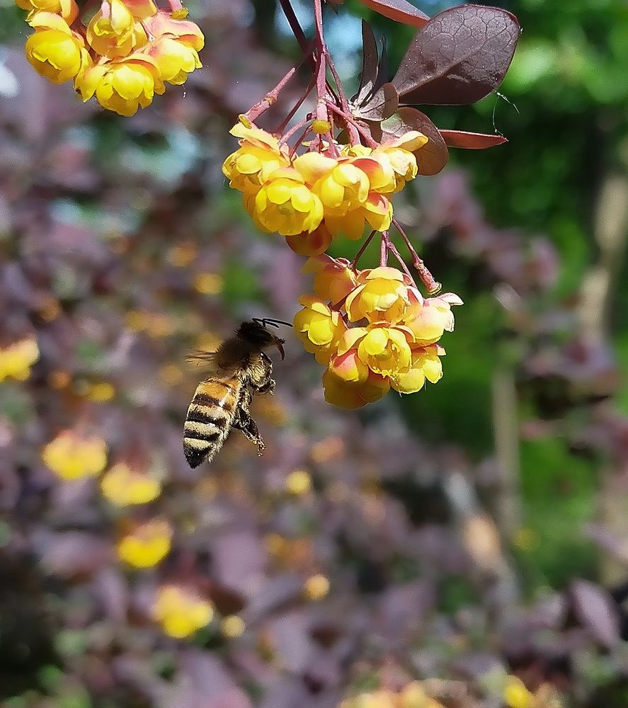 Photograph by Ольга Мартьянова