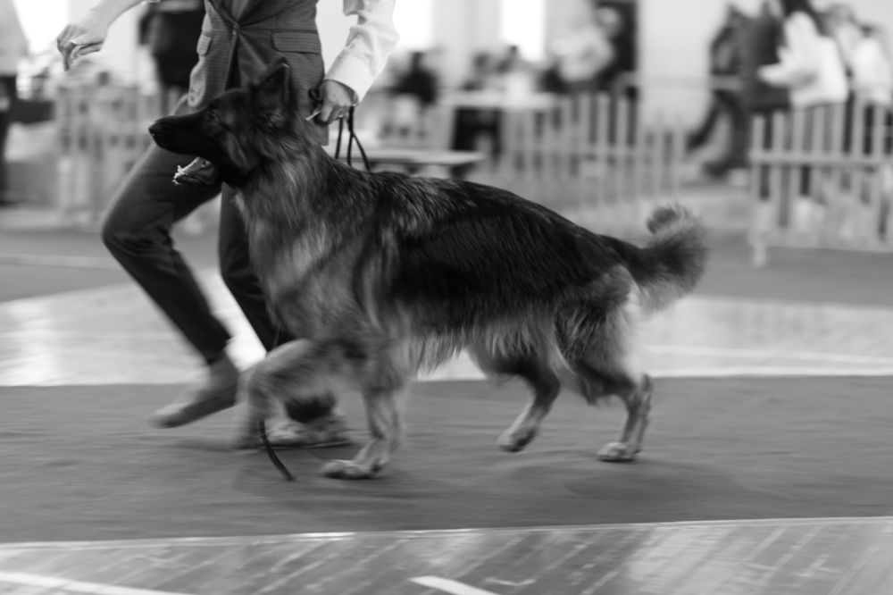 Photograph by Полианна Напара