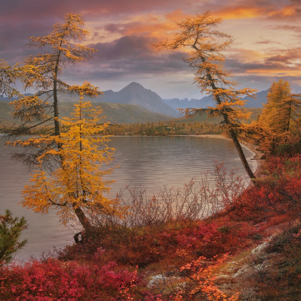 Фотография автора Dmitry Medyancev