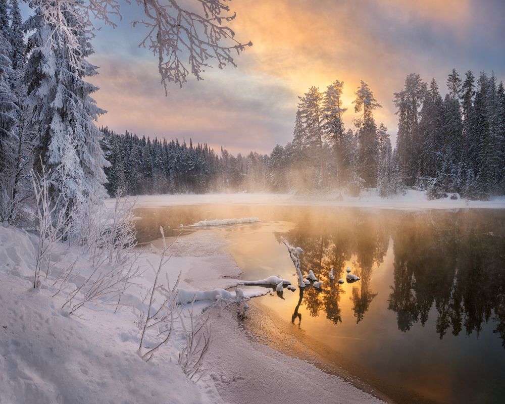 Фотография автора Dmitry Medyancev