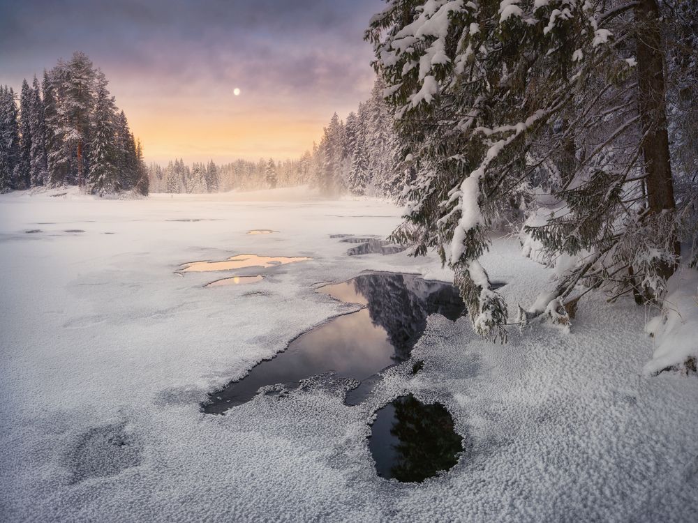 Фотография автора Dmitry Medyancev