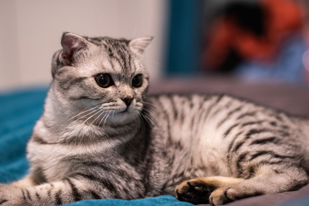 Photograph by Алексей Алексеев