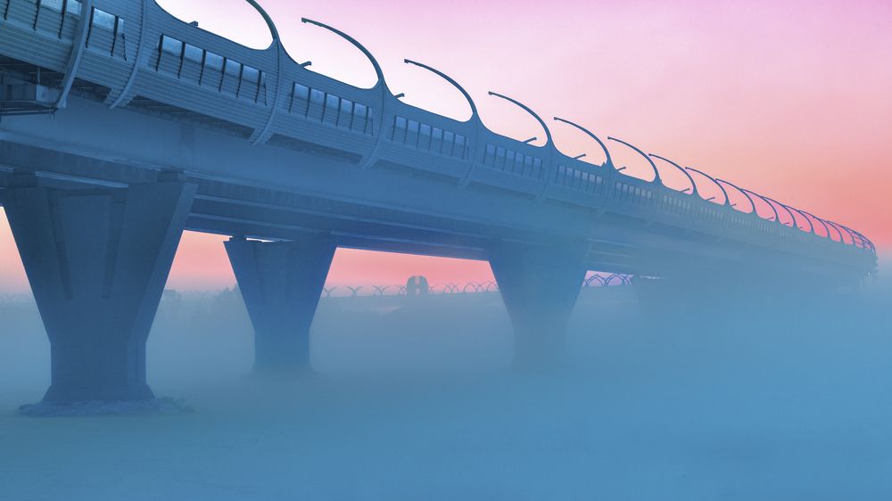 Нева. Мороз. Туман