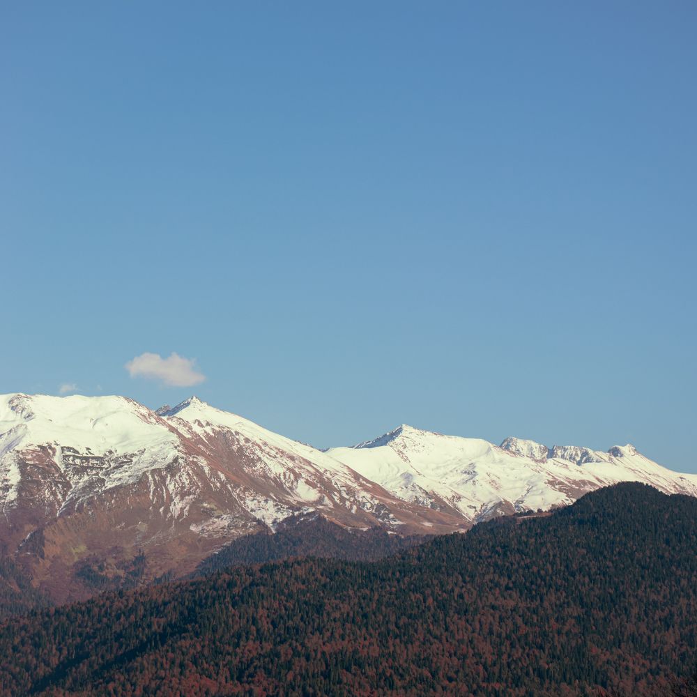 Photograph by Анатолий Гусев