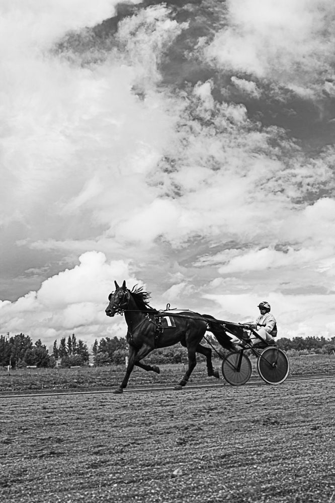 Photograph by Екатерина Першина