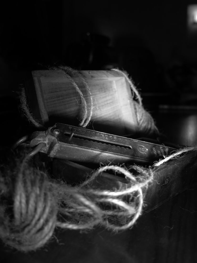 Photograph by Сапронова Евгения