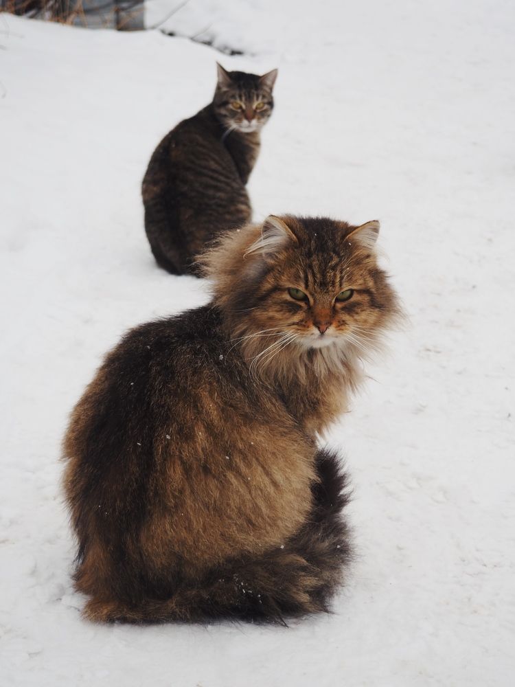 Photograph by Мария