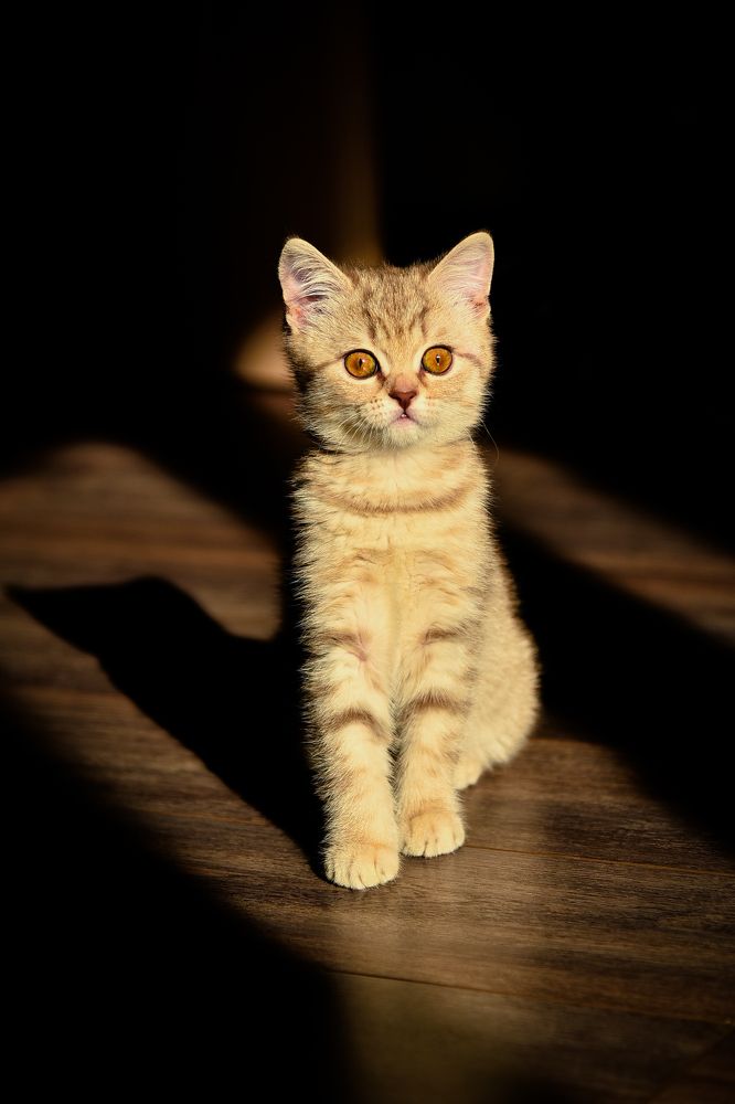 Photograph by Наталья Темная