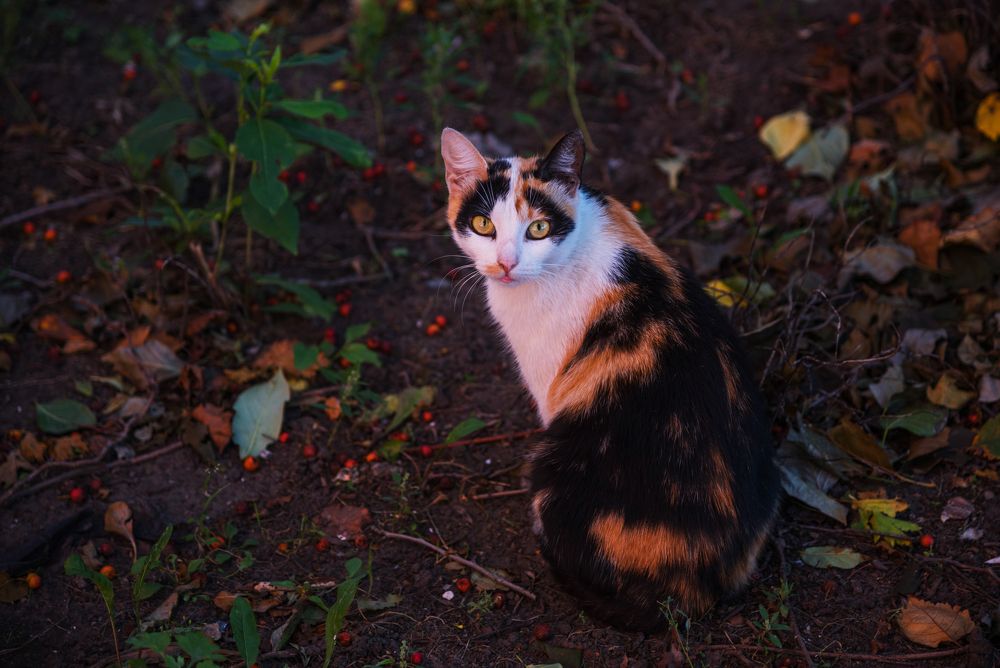 Photograph by Kirill Yakowlew