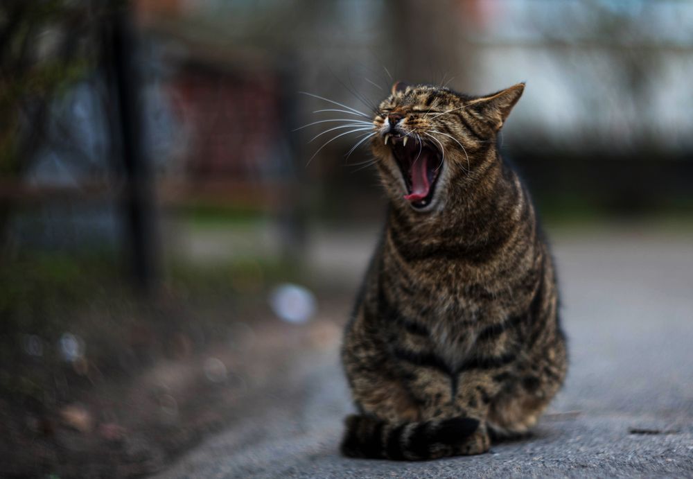 Photograph by Kirill Yakowlew