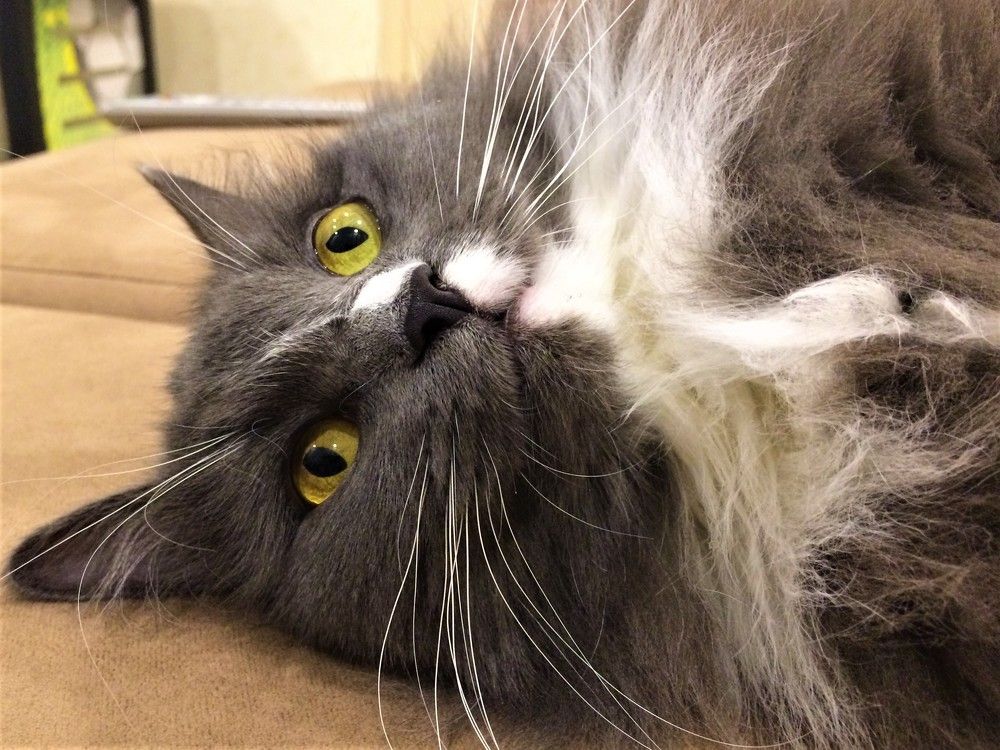 Photograph by Александр Варфоломеев