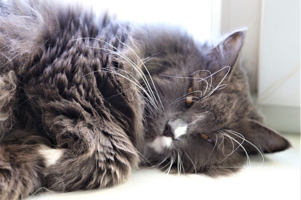 Photograph by Александр Варфоломеев