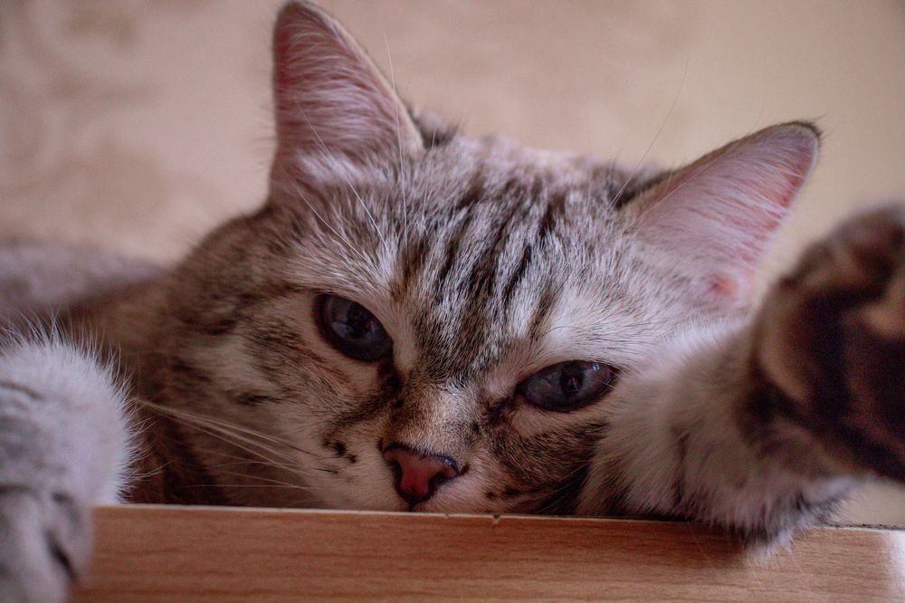 Photograph by Julia Dorofeeva