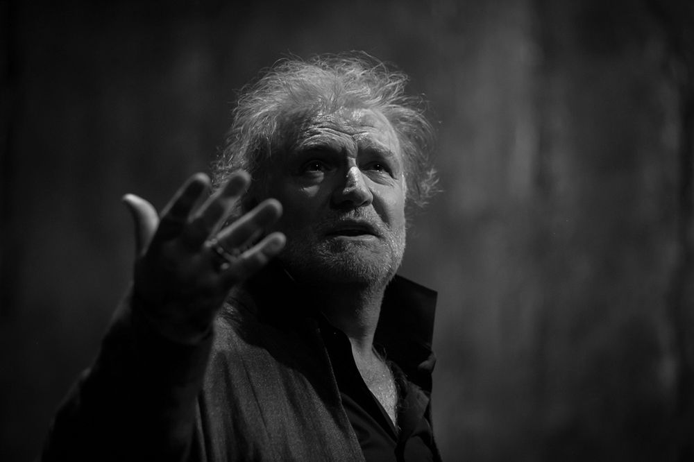 Фотография автора Сафонова Людмила