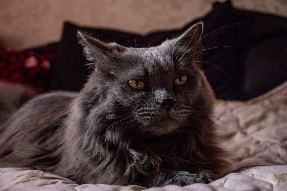 Photograph by Julia Dorofeeva