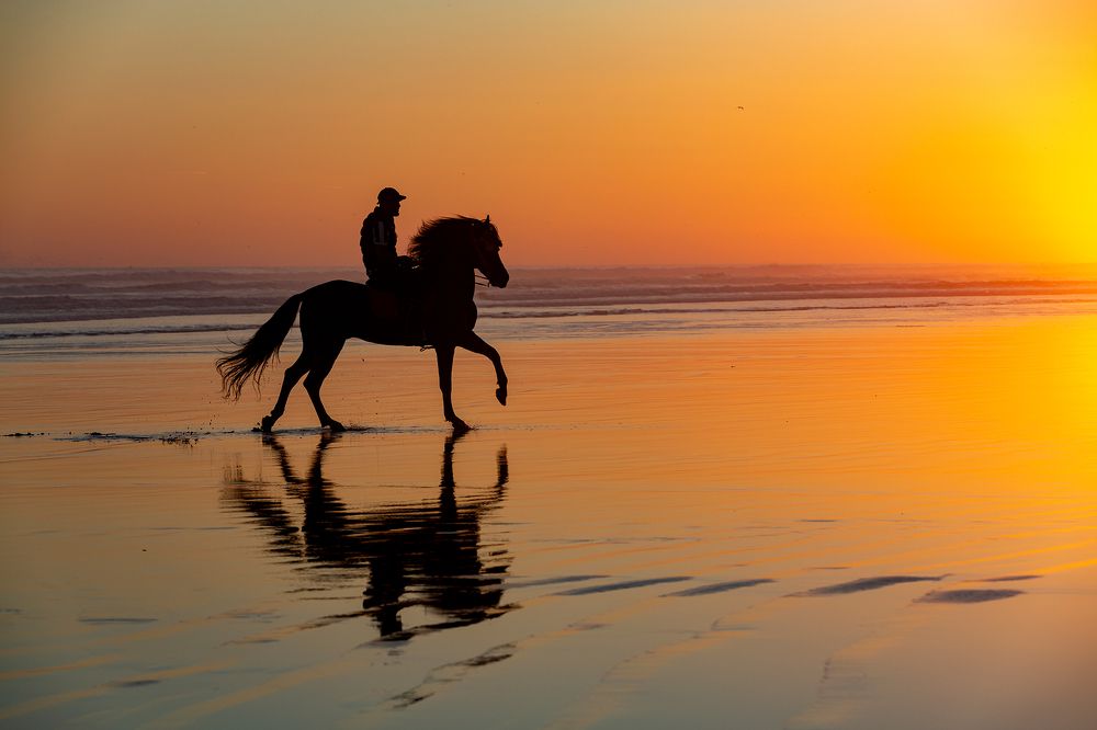 Photograph by Vladimir Vorobeychik