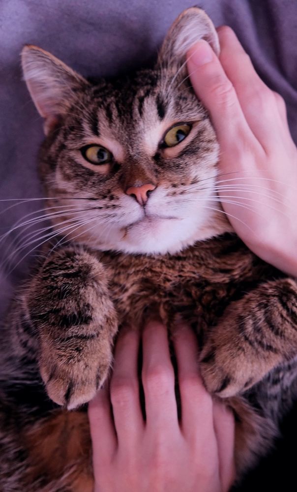 Photograph by Диана Грэске