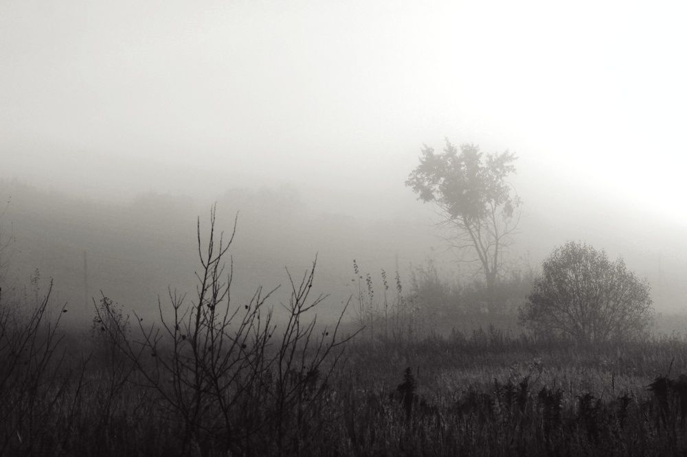 Photograph by Инна Карасева