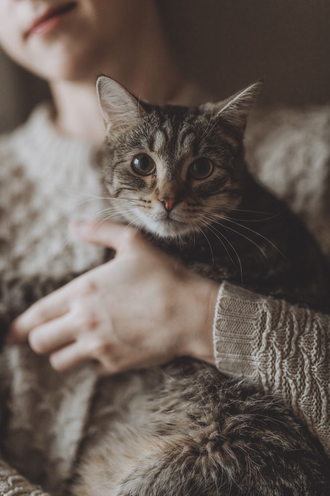 Photograph by Наталия Ватутина