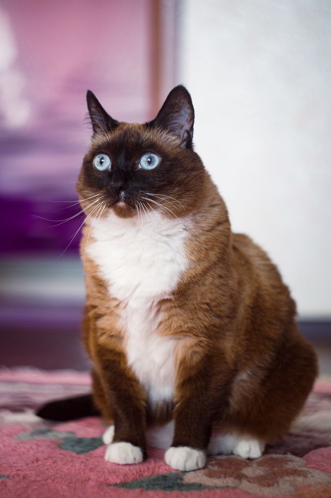 Photograph by Евгения Шубенкова