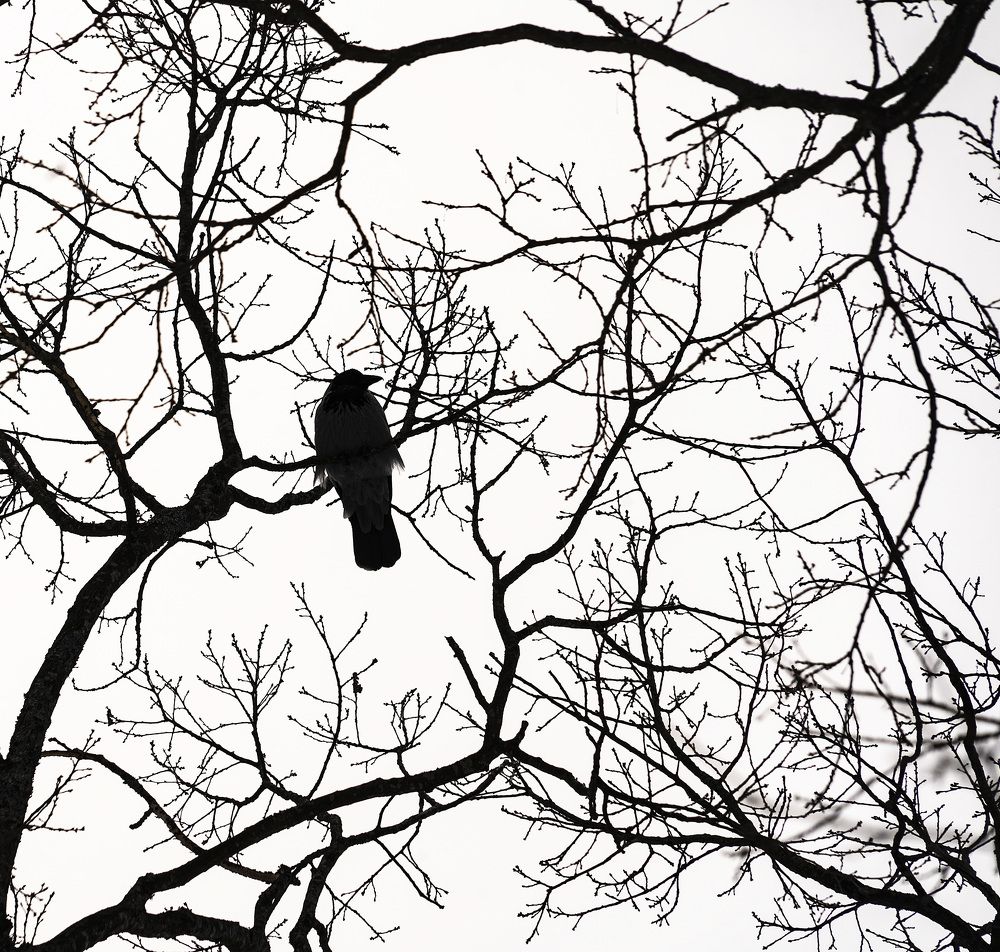 Photograph by Павел