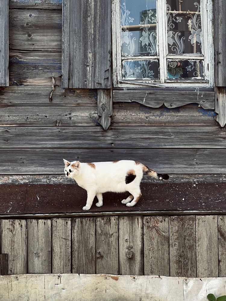 Photograph by Ольга Рачилова