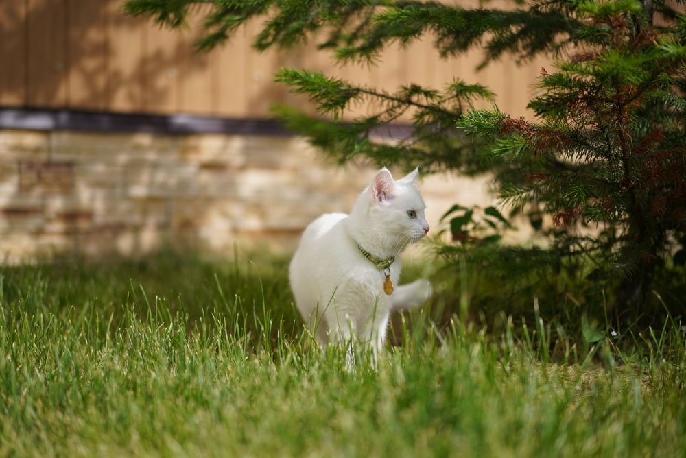 Photograph by Ксения Рош