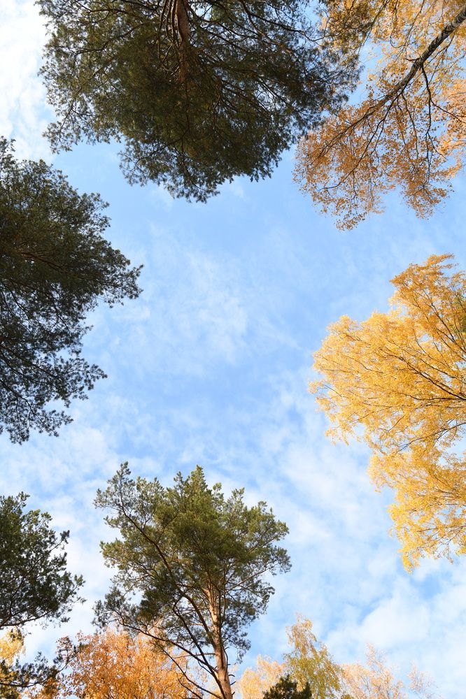 Photograph by Анна