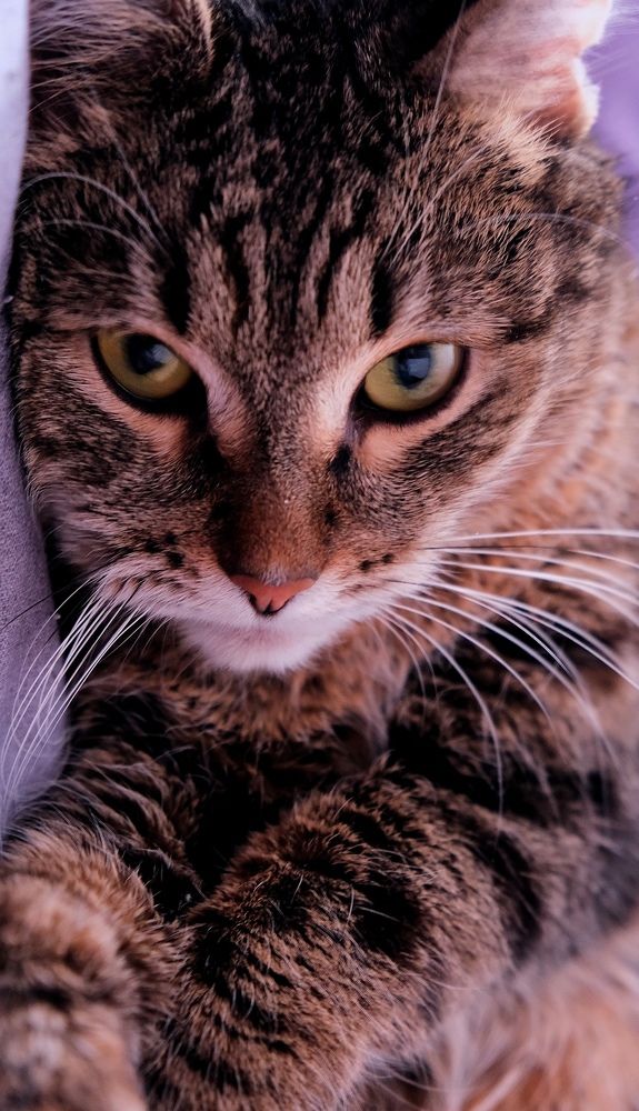 Photograph by Диана Грэске