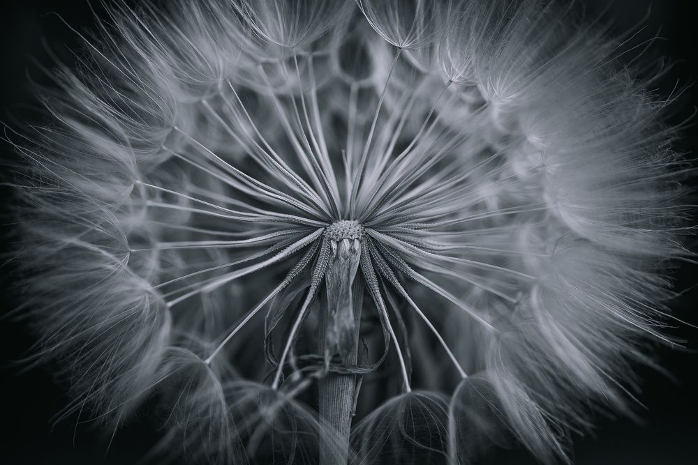 Photograph by Анна Бобкова