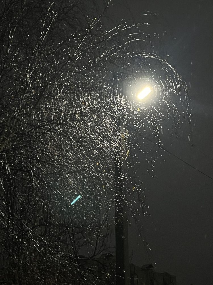 Photograph by Любовь Носова