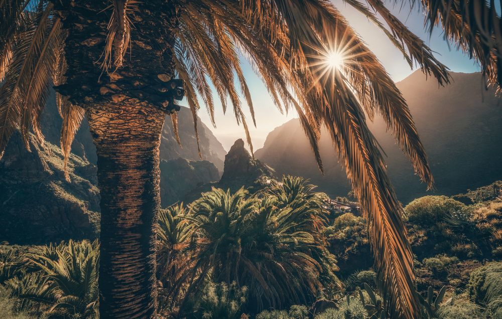 Photograph by Lara Iris