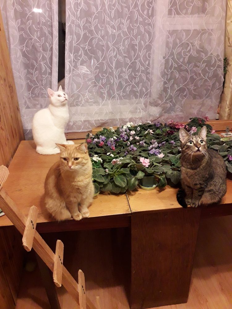 Photograph by Татьяна