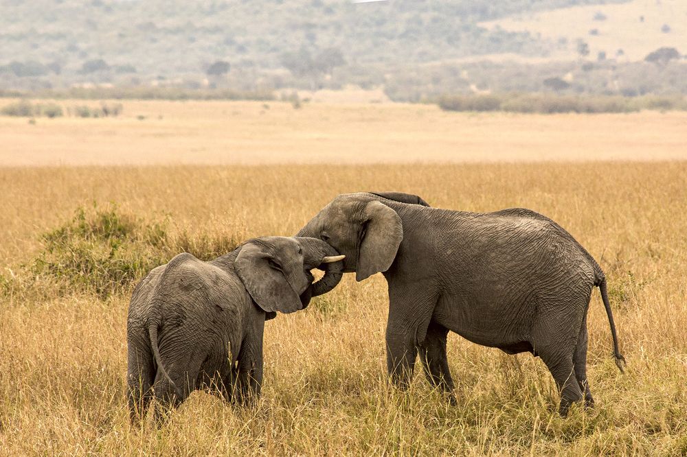 Photograph by Светлана Барабанщикова