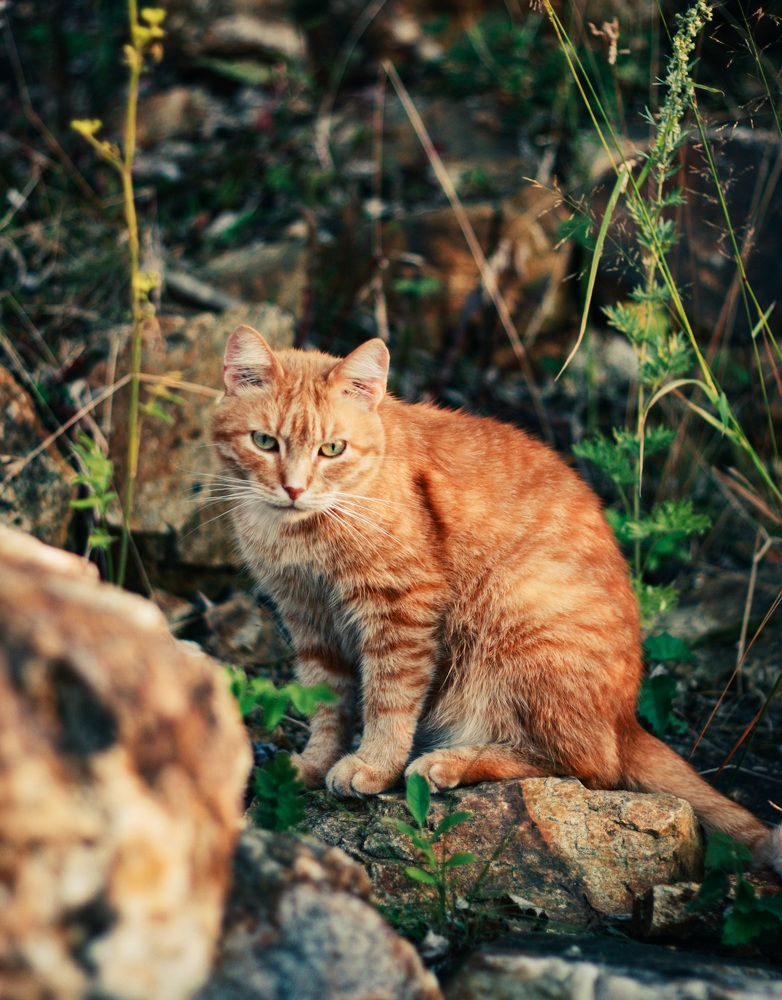 Photograph by Евгения Шубенкова