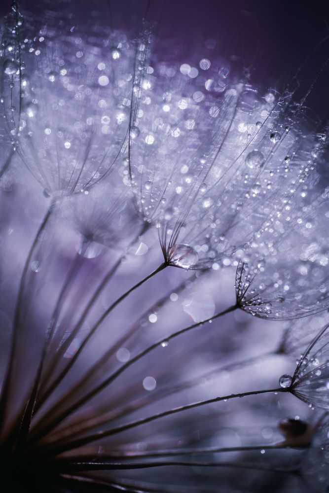 Photograph by Анна Бобкова