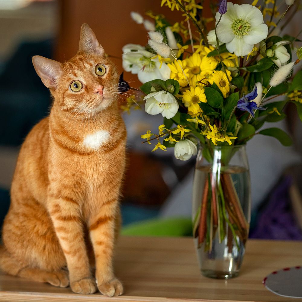 Photograph by Наталья