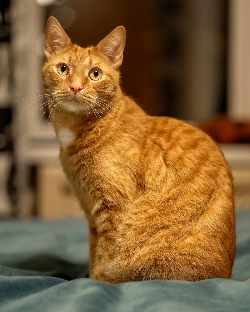 Photograph by Наталья