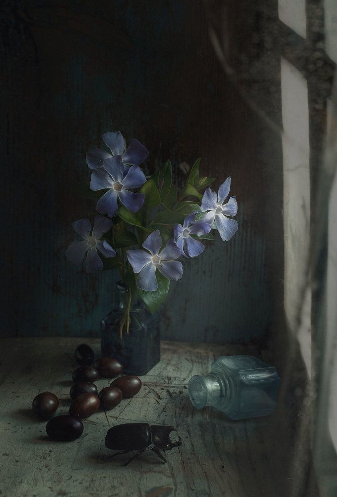 Photograph by Natalia Ricci