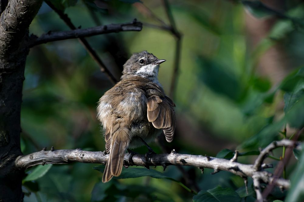 Photograph by Александр Перегудов