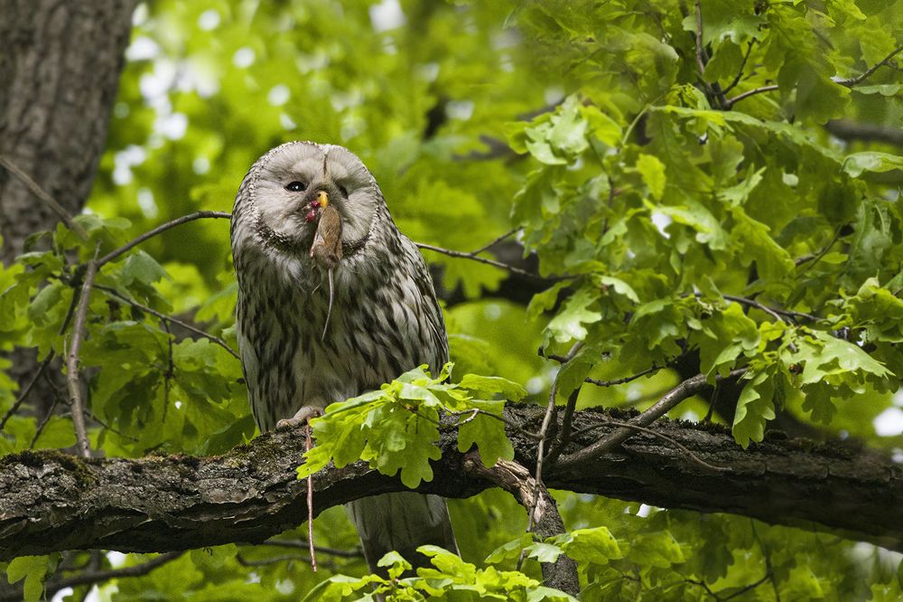 Photograph by Светлана Барабанщикова
