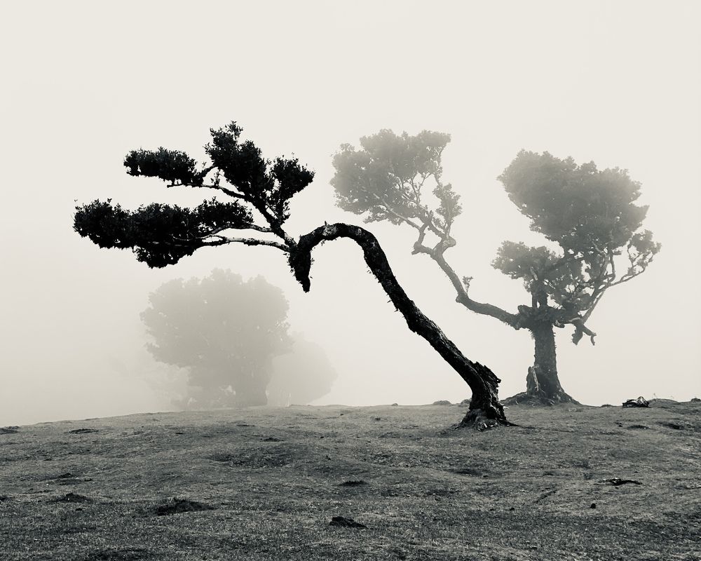 Photograph by Наталья Посашко