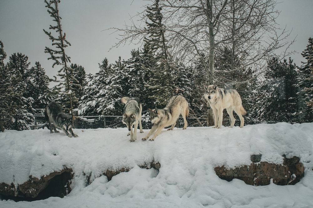 Photograph by Kali Richardson
