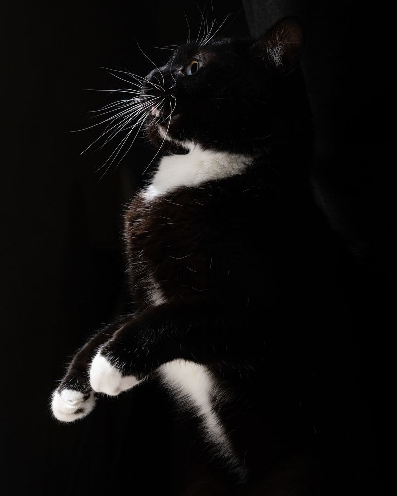 Photograph by Илья Стефанов