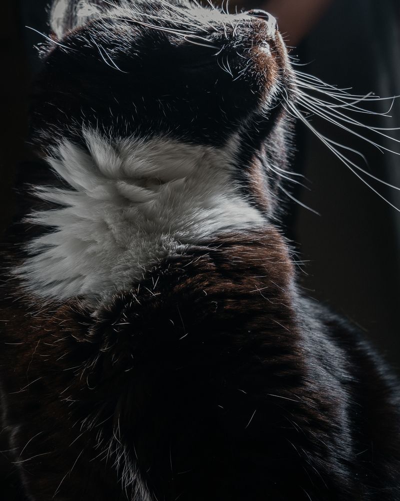 Photograph by Илья Стефанов