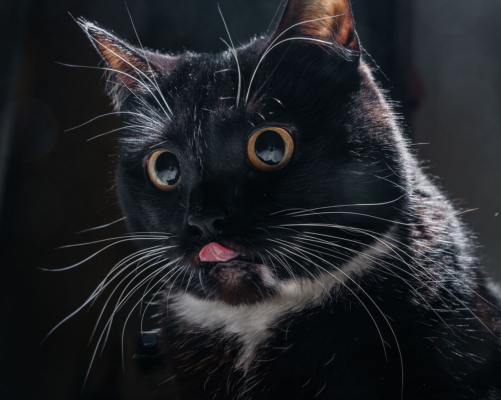 Photograph by Илья Стефанов