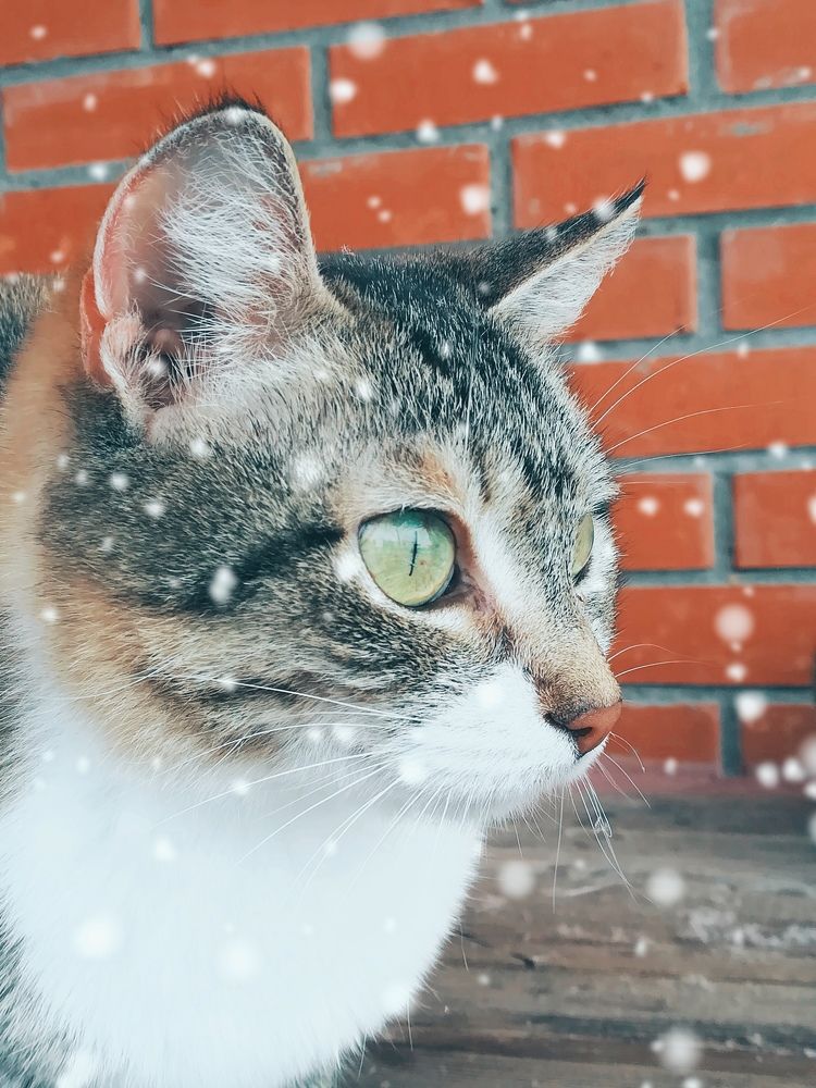 Photograph by Мария