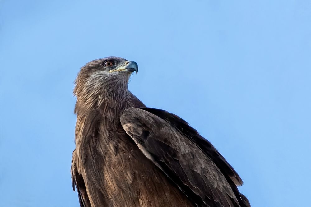 Photograph by Александр Перегудов