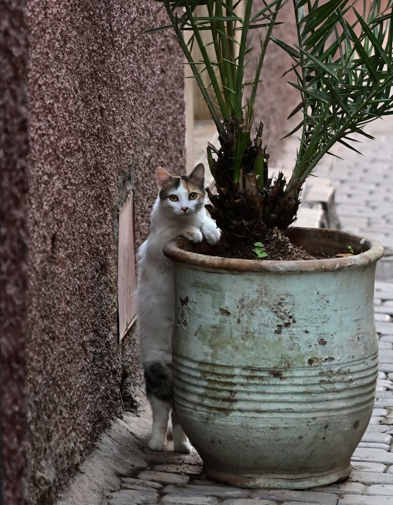 Photograph by Аудрюс Балчетис